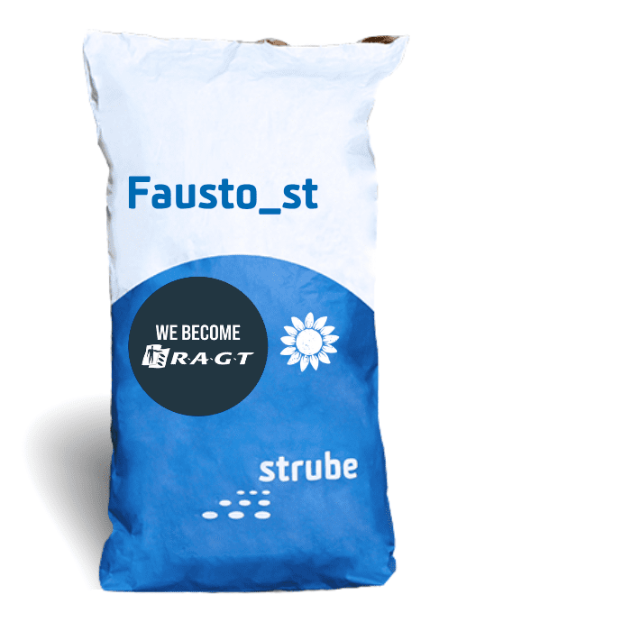 Solrosor – Fausto_st